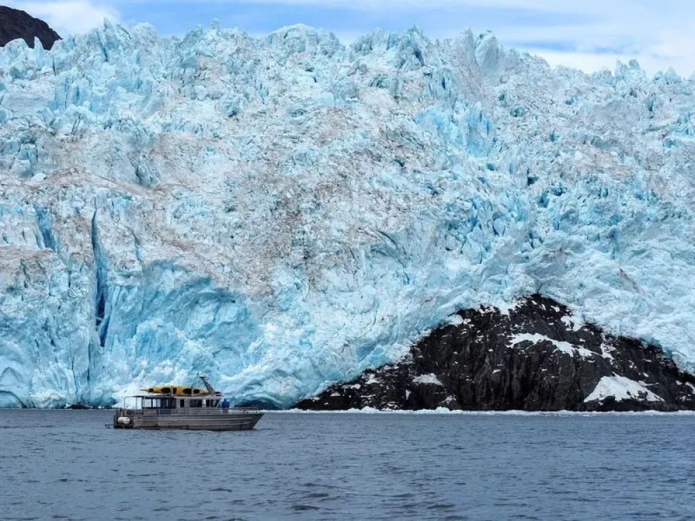 Aialik Glacier Paddle Boat Tour & Kayaking Adventure - 3
