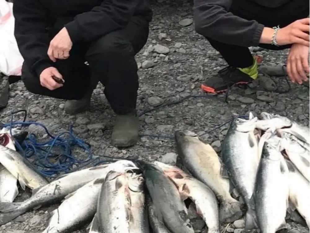 Red (Sockeye) Salmon Guided Fishing Adventure - 2