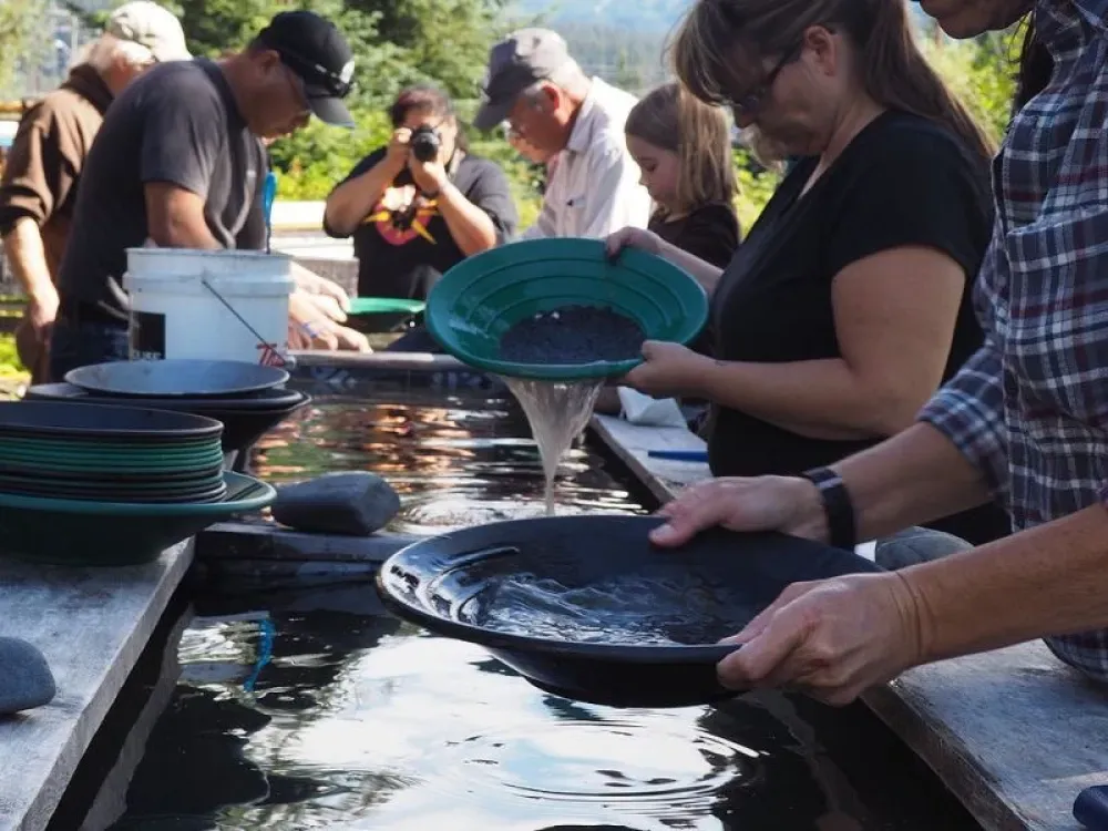 Gold Panning at Clear Creek and Exit Glacier Nature Hike Combo - 1