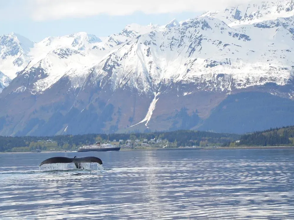 Ocean Raft Wildlife Adventure - 5