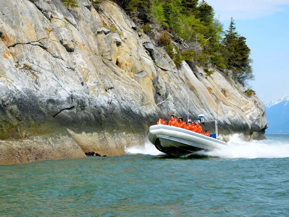 Ocean Raft Wildlife Adventure - 2