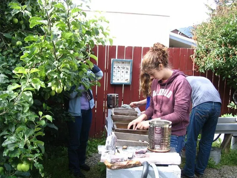 Back Alley Gold Panning - 4