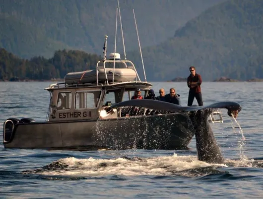Marine Wildlife Tour