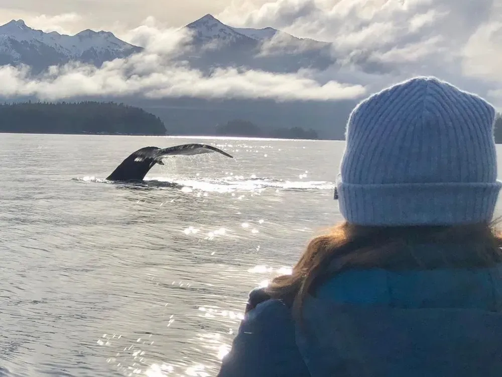 Marine Wildlife Tour - 4