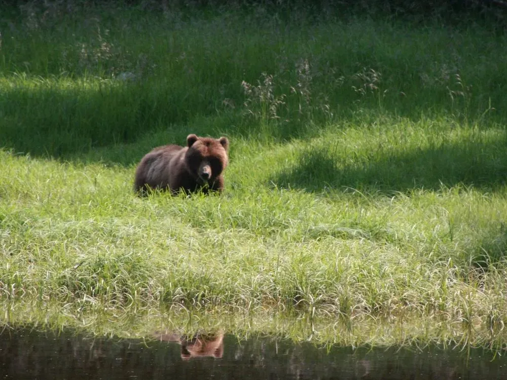 Marine Wildlife Tour - 3