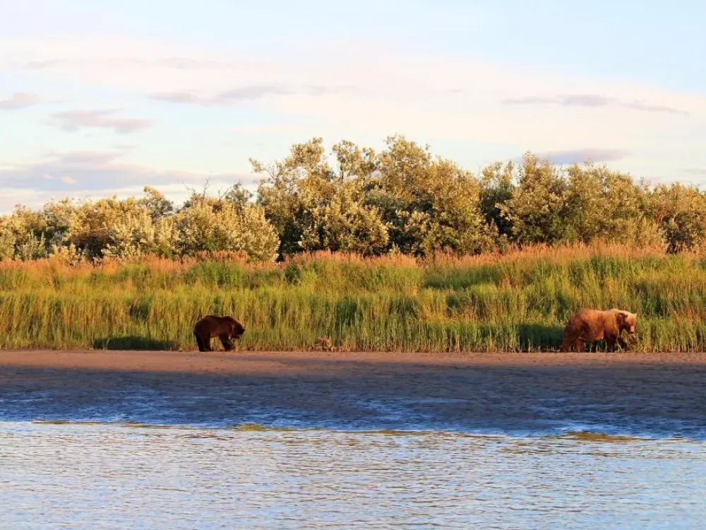Guided wilderness freshwater fishing plus all-inclusive lodge accommodations. - 3