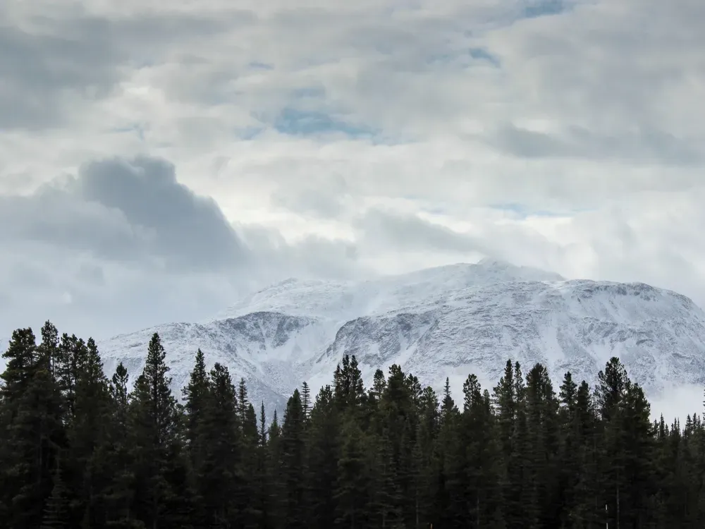 Seek the Summit - 1