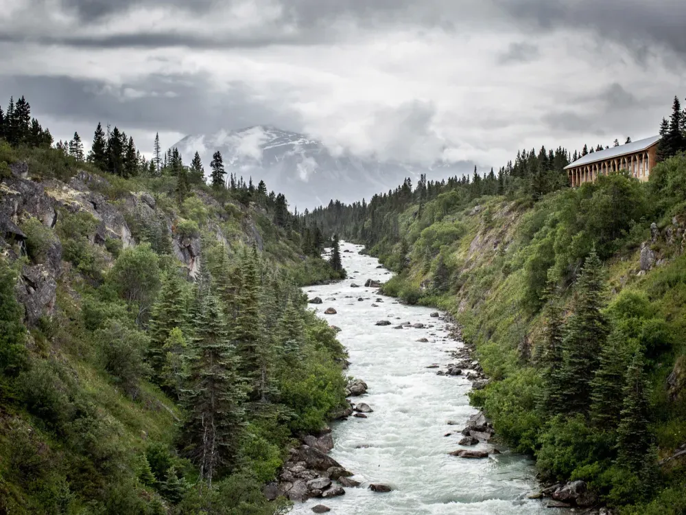 Brave the Bridge and Emerald Lake Tour - 3