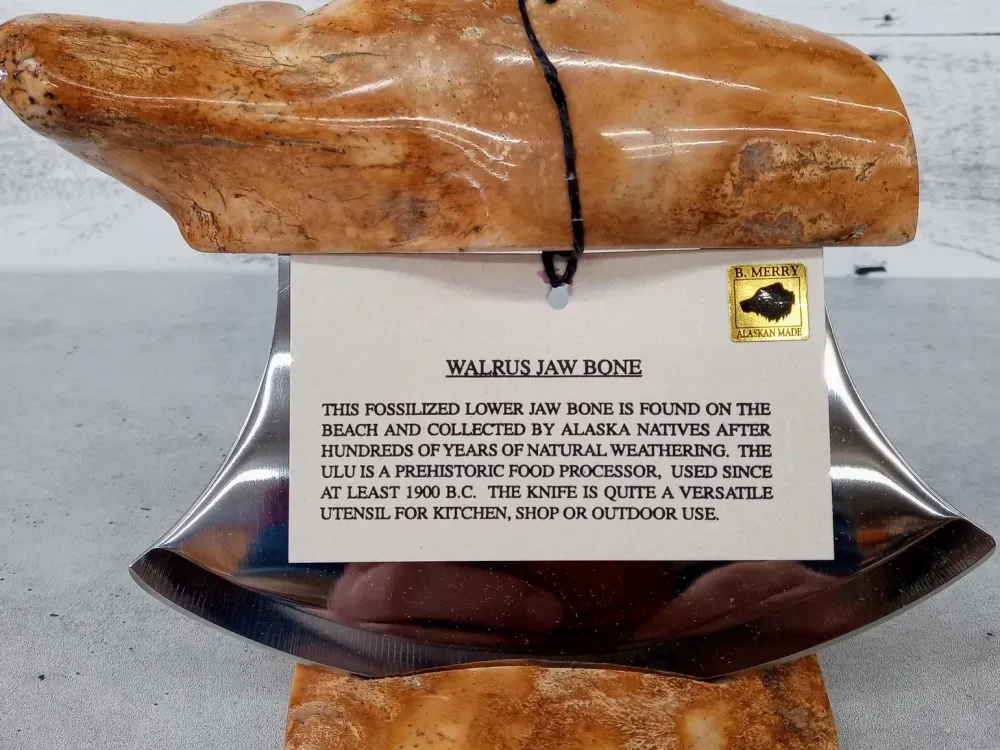 Walrus Jaw Bone Ulu - 1