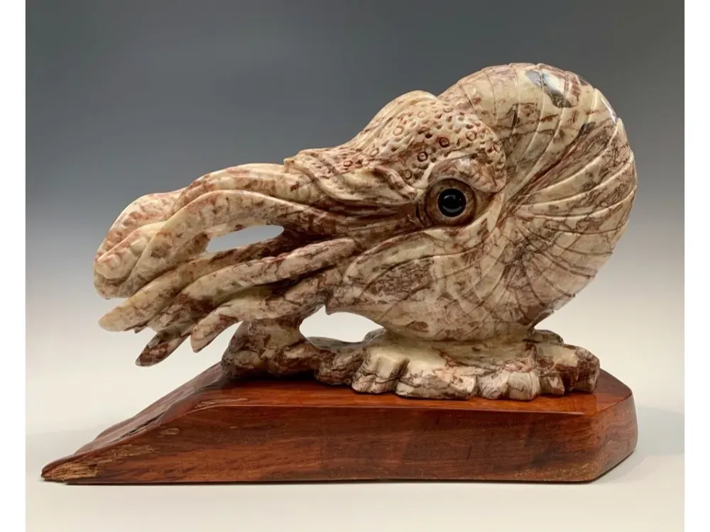 Ammonite Marble Sculpture - 5