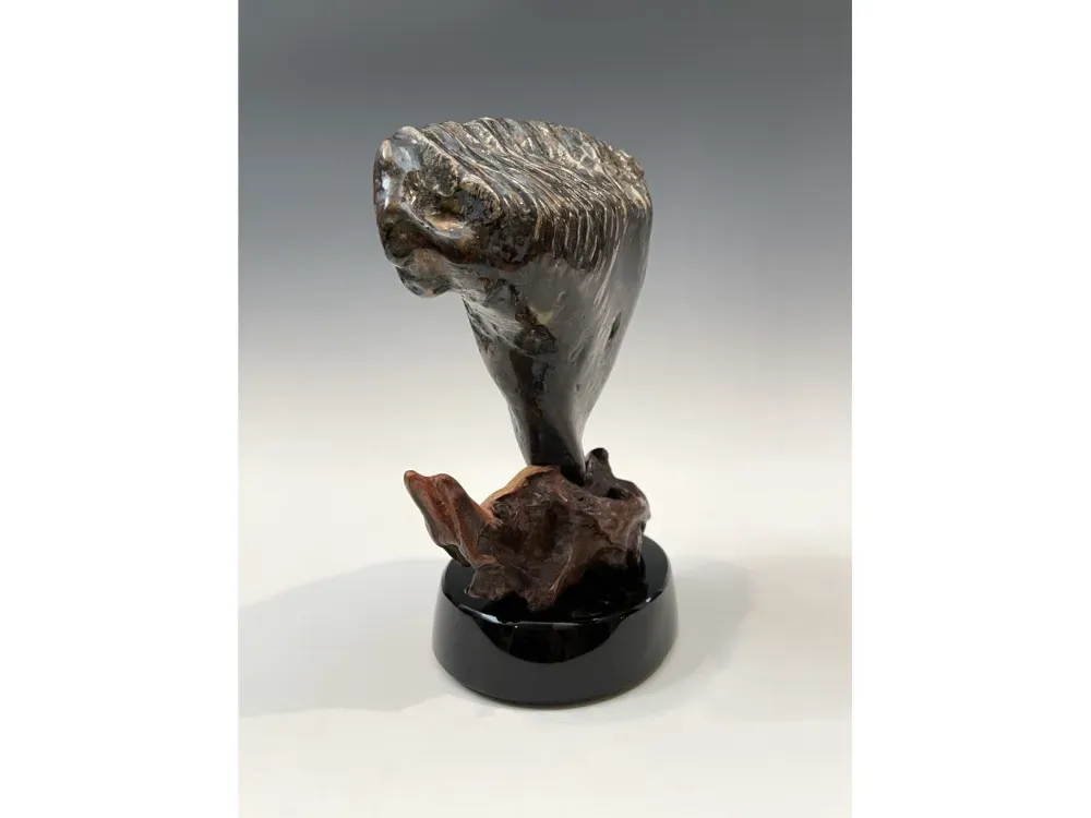 Fossil Mammoth Molar - 2