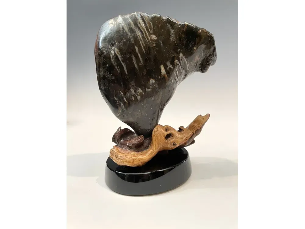 Fossil Mammoth Molar - 4