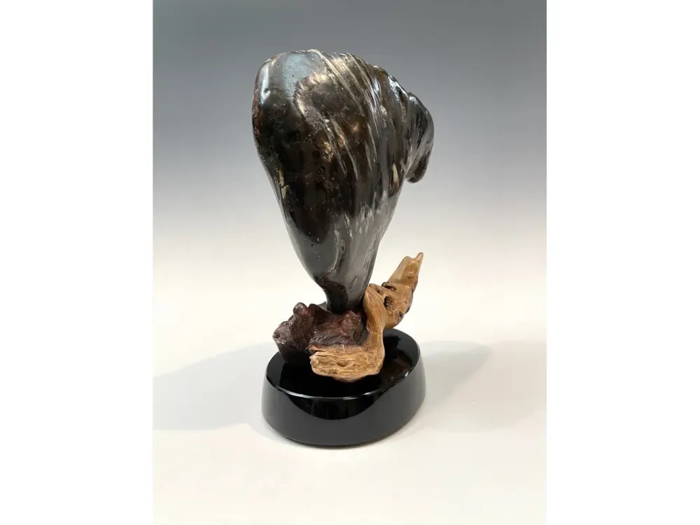 Fossil Mammoth Molar - 5