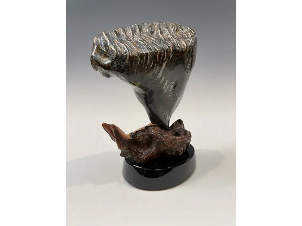 Fossil Mammoth Molar - 1