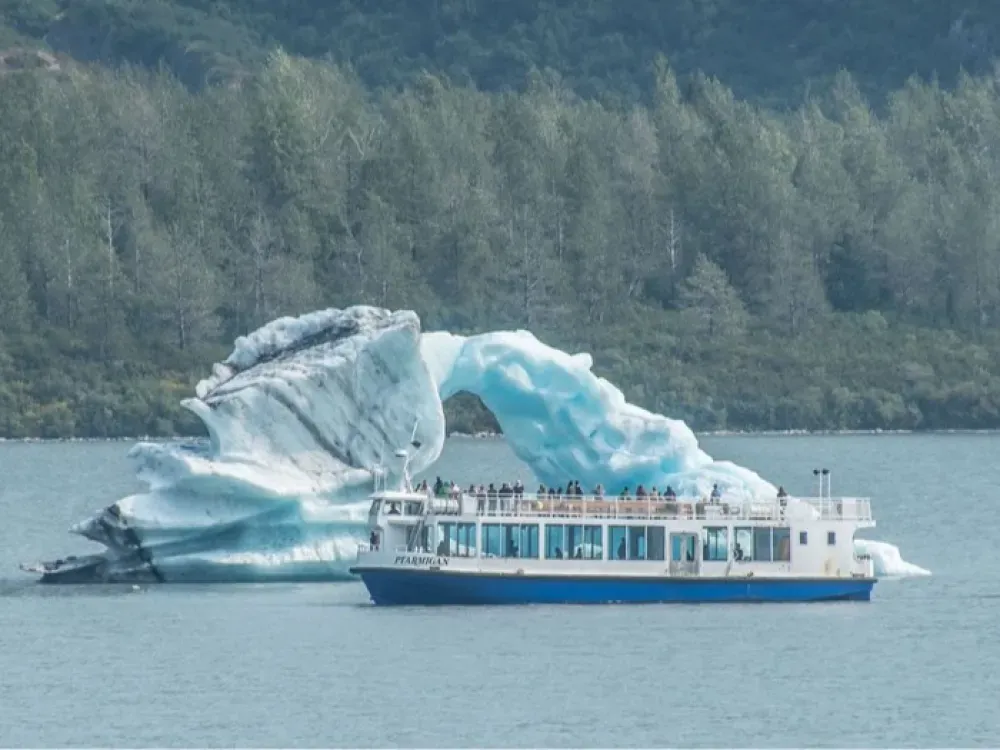 Glaciers & Wildlife: Super-Scenic Day Tour - 1