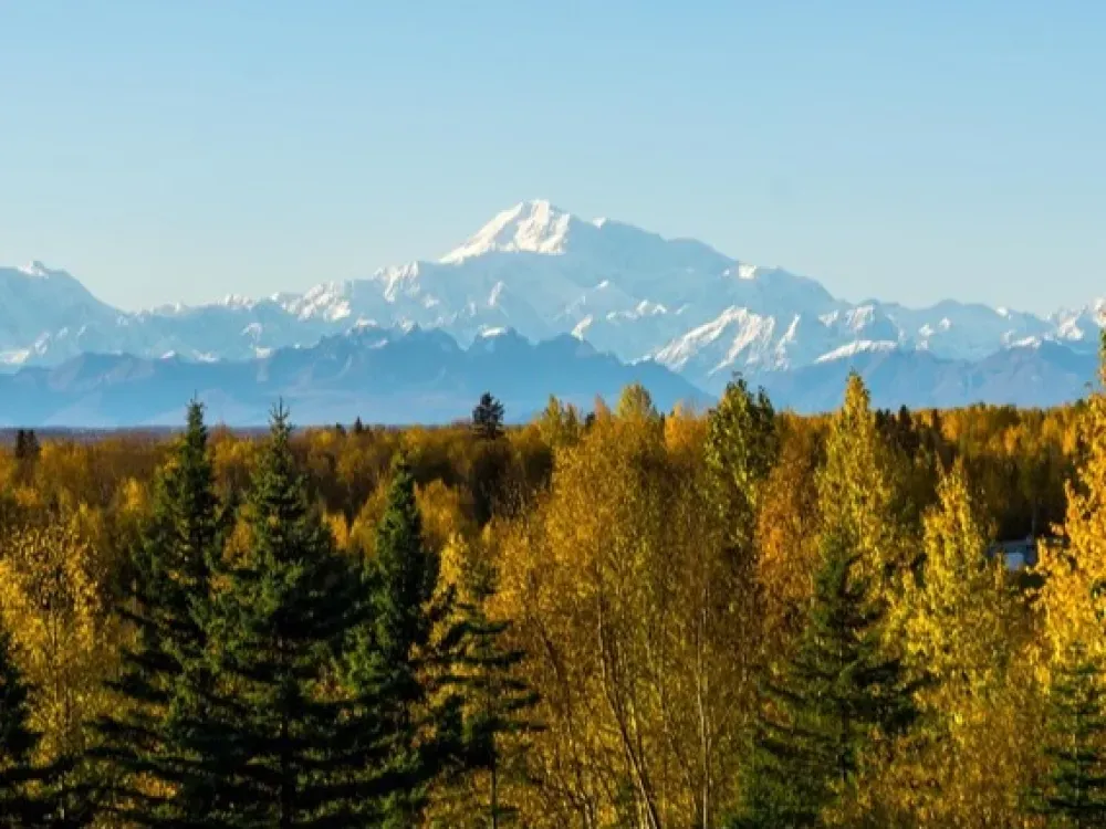 2 Hour Talkeetna Float Trip - 3