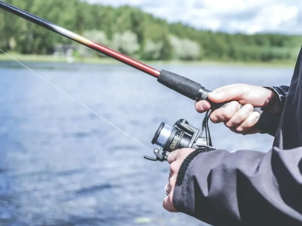 Rod Rentals - 1