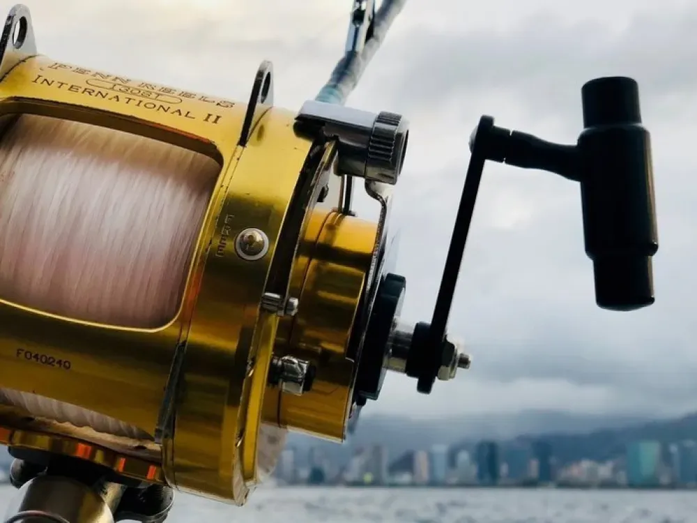 Rod Rentals - 2