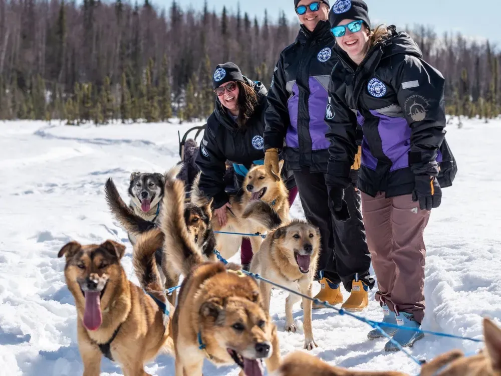 Iditarod Team Winter Sled Ride On Private Trails - 5
