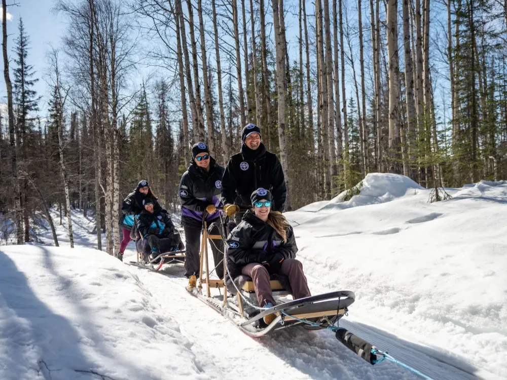 Iditarod Team Winter Sled Ride On Private Trails - 4