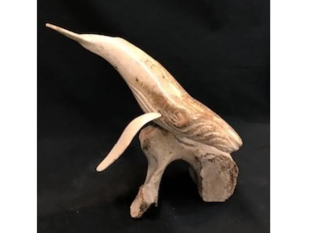 Walrus Jaw Bone On Vertebrae By Ron Ekemo - 2