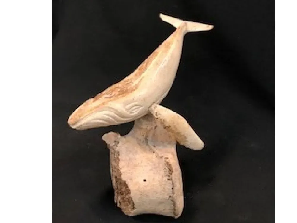 Walrus Jaw Bone On Vertebrae By Ron Ekemo - 1