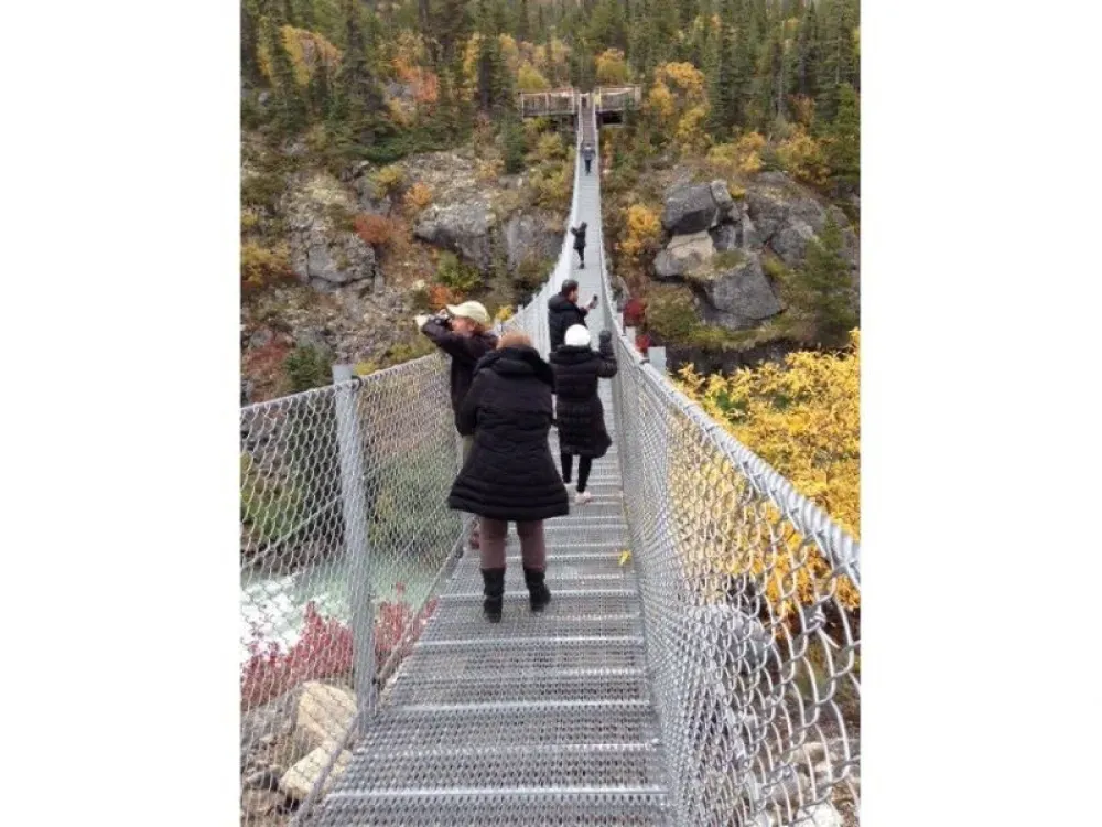 White Pass Summit and Yukon Suspension Bridge Tour - From Skagway - 3
