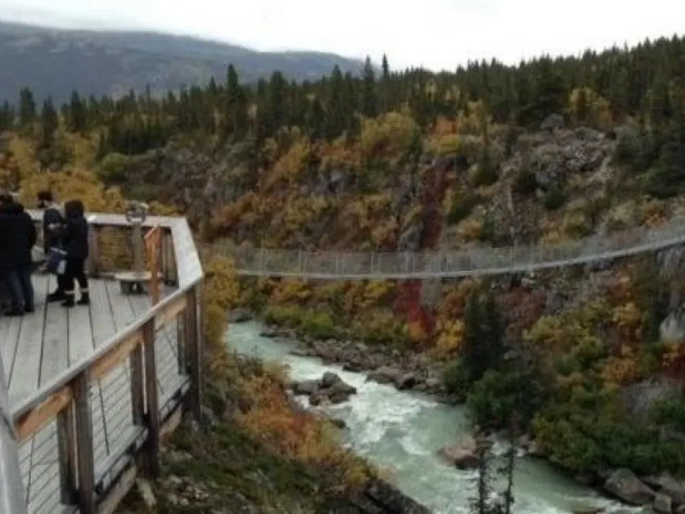 White Pass Summit and Yukon Suspension Bridge Tour - From Skagway - 2