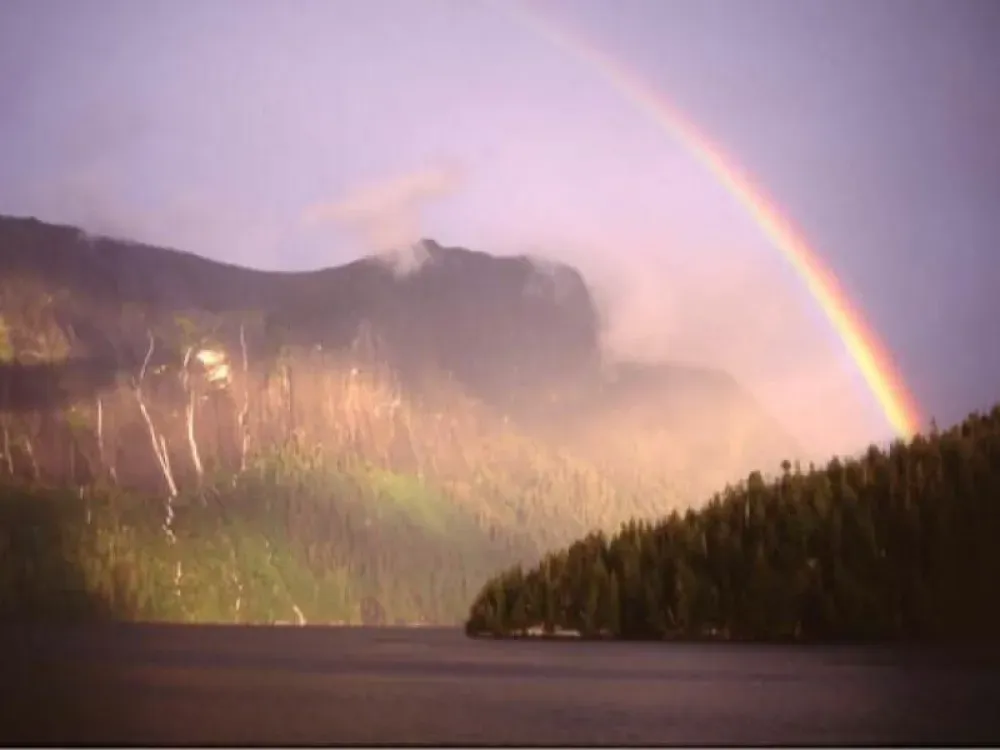 Chilkat Photography Tour- Departs from Skagway - 3