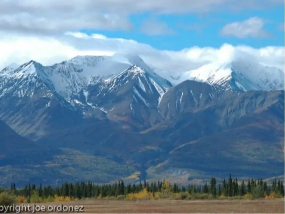 Chilkat Photography Tour- Departs from Skagway - 4