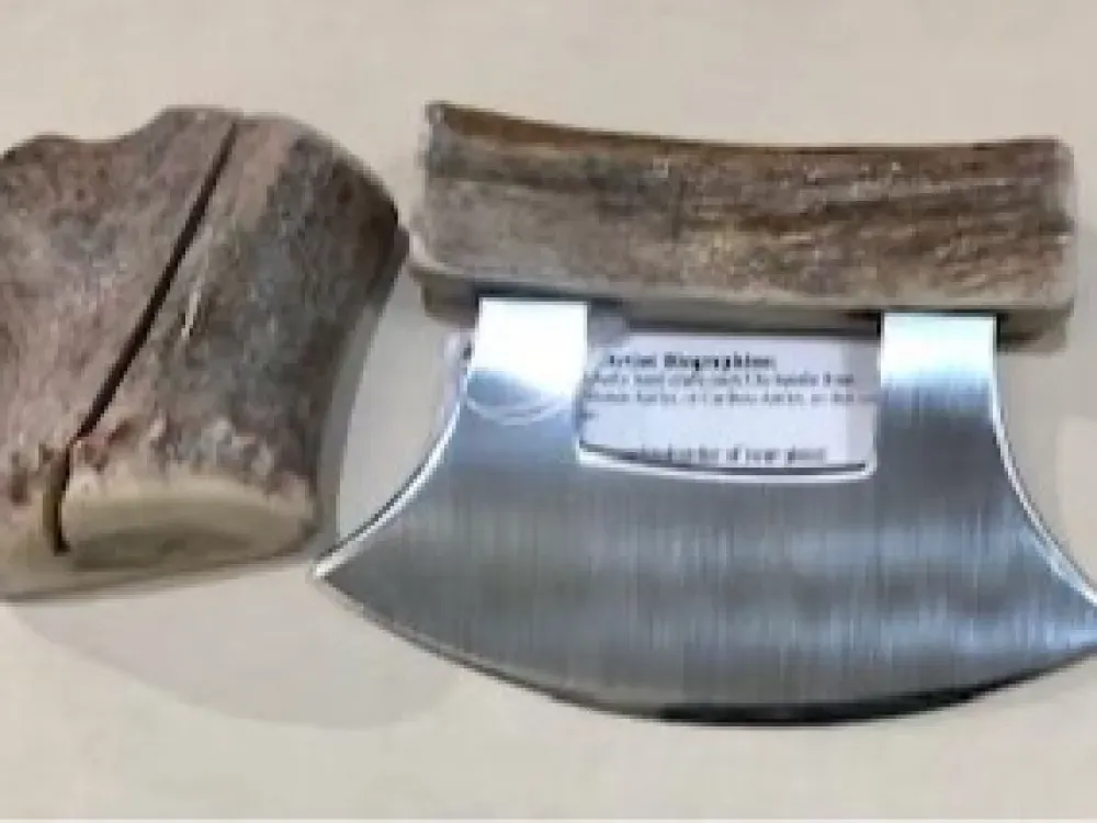 "Eagle Design" Scrimshaw Antler Ulu Knife - 2