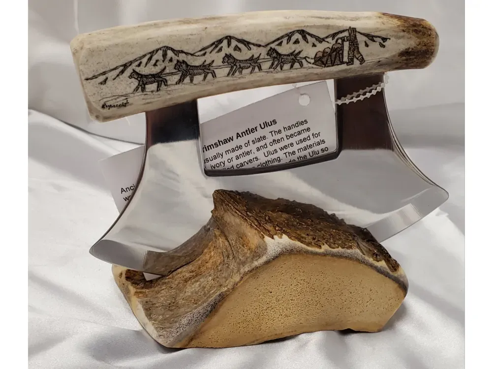 "Dogteam Design" Scrimshaw Antler Ulu Knife - 3