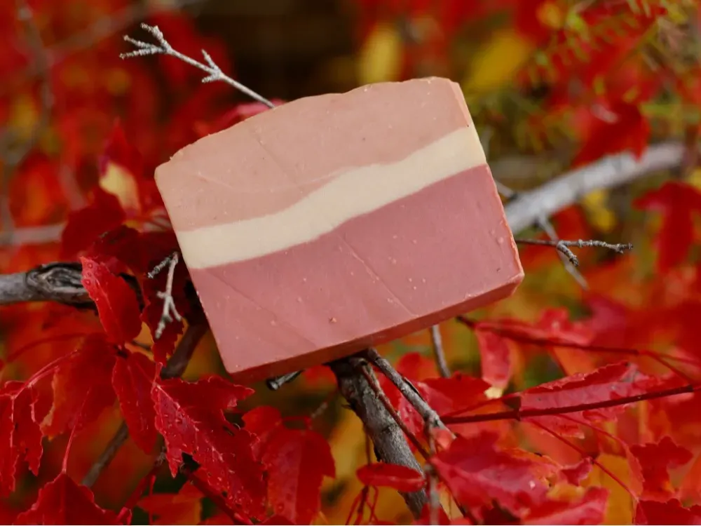 Lingonberry Spice (Cold Process Soap) - 2