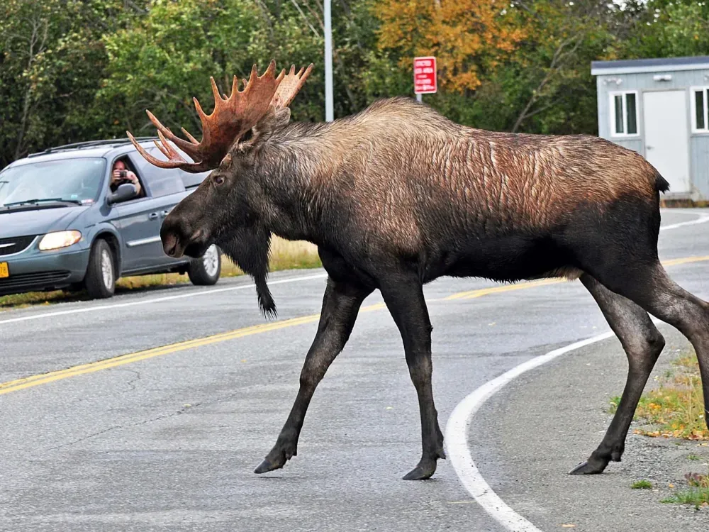 Scenic Anchorage City Tour - 5