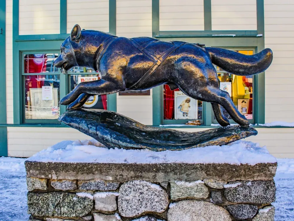 Scenic Anchorage City Tour - 4