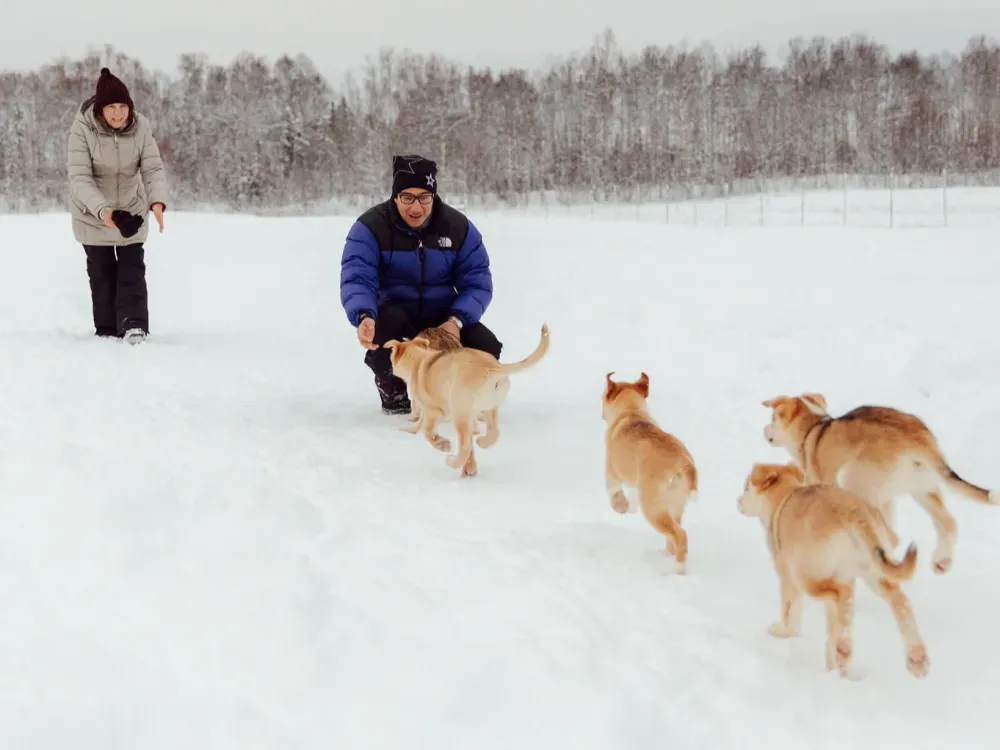 Dallas Seavey Talkeetna Winter Dog Sledding - Anchorage Departure - 2
