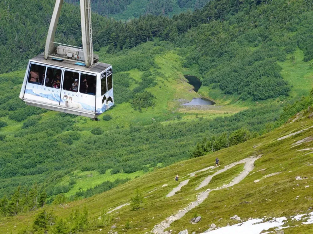 Cruise Ship Tour and Transfer: Whittier to Anchorage - 4