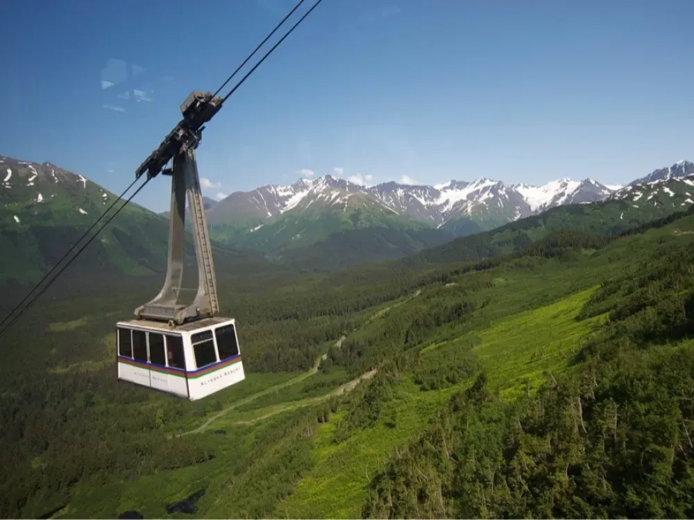 Cruise Ship Tour and Transfer: Whittier to Anchorage - 1