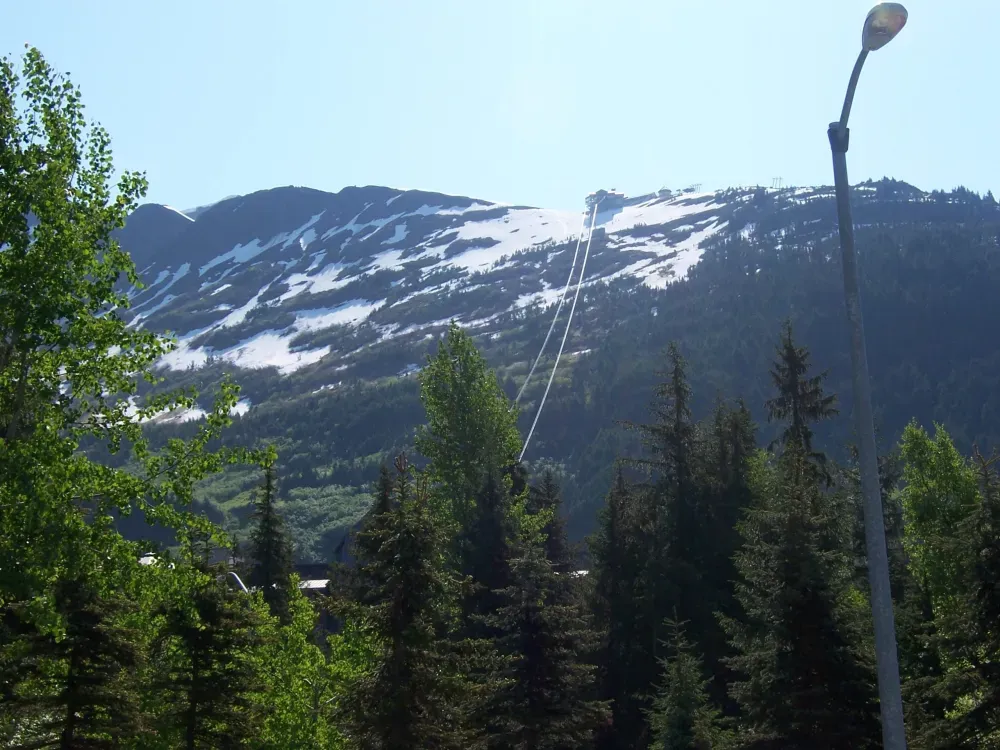 Cruise Ship Tour and Transfer: Whittier to Anchorage - 3