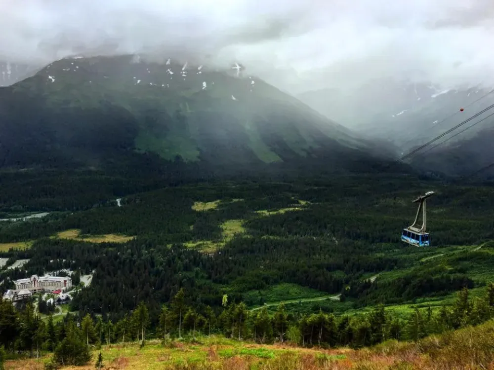 Cruise Ship Tour and Transfer: Anchorage to Whittier - 1