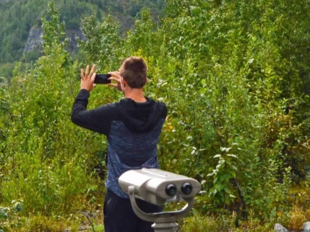 Cruise Ship Tour and Transfer: Seward to Anchorage - 1