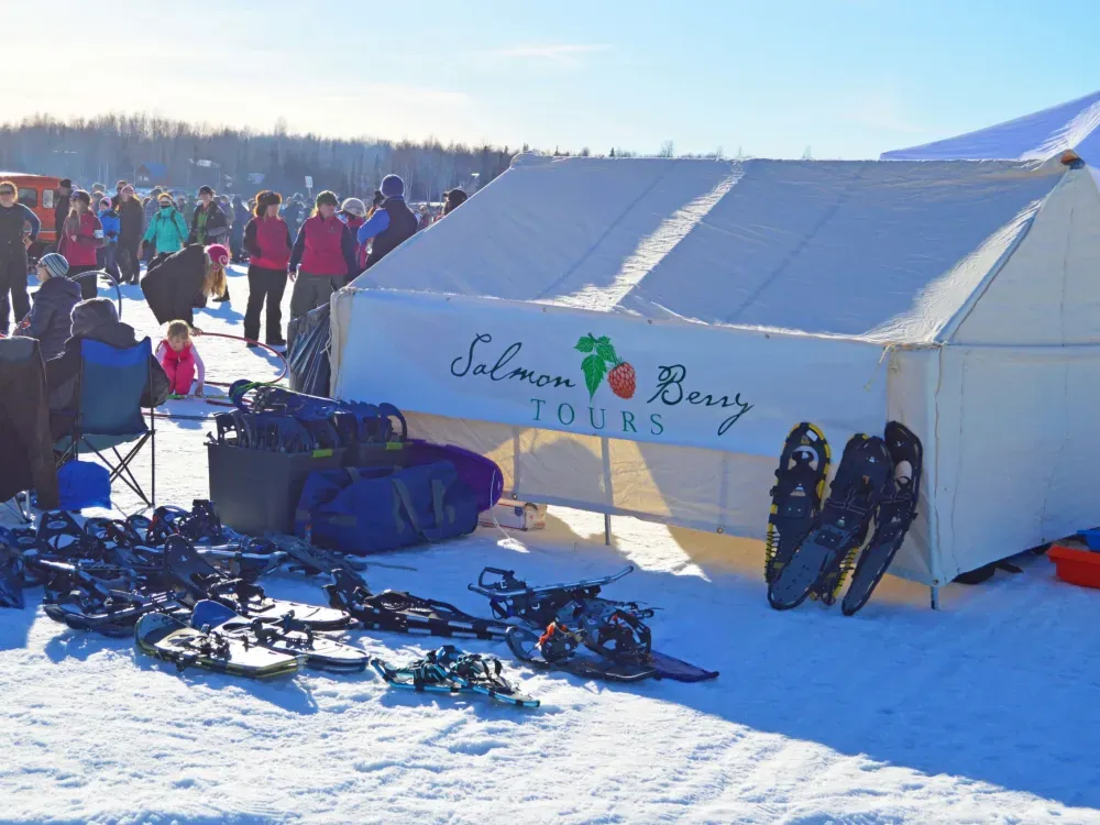 Iditarod Annual Starting Line Event - Willow - 5