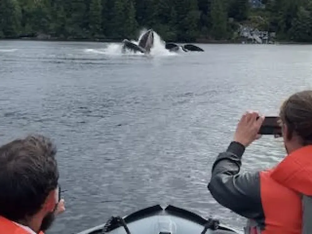 Fast Boat Adventure - 4