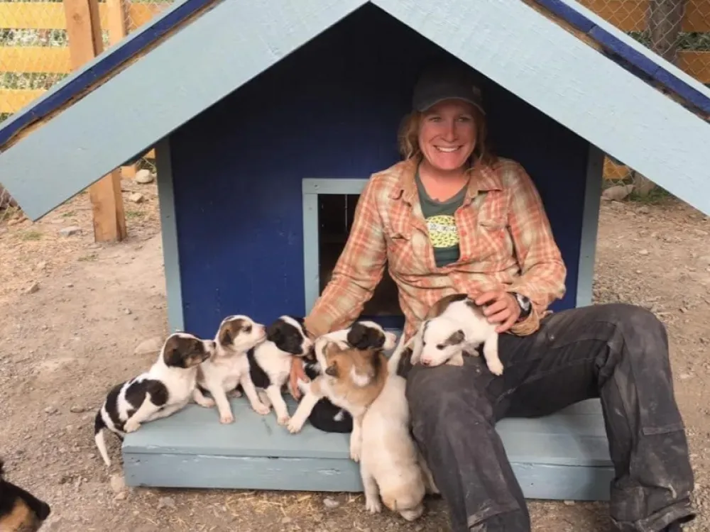 To The Yukon, Pet the Puppies & White Pass Summit Tour - 1