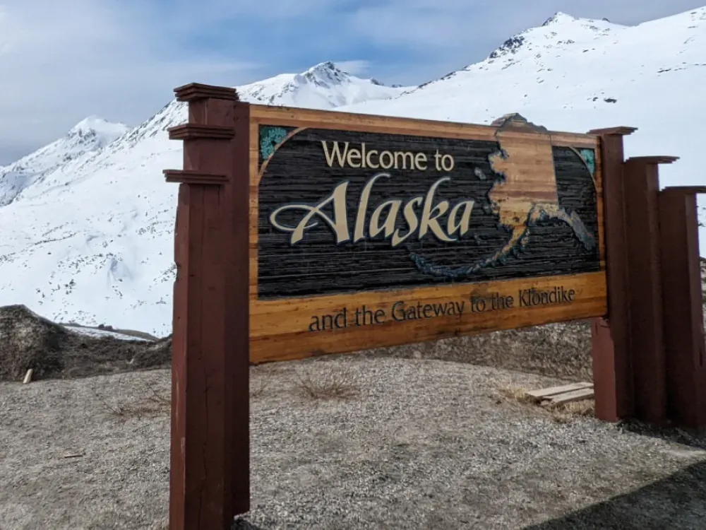Yukon Sled Dogs & White Pass Summit Experience - 4
