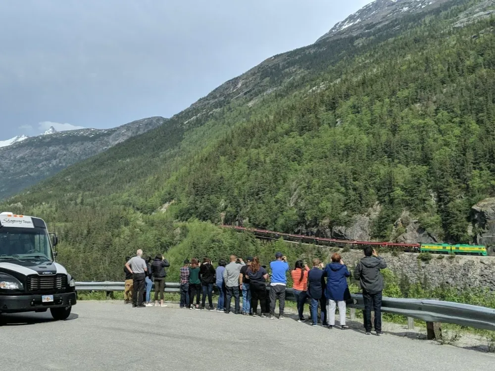 Yukon Sled Dogs & White Pass Summit Experience - 3