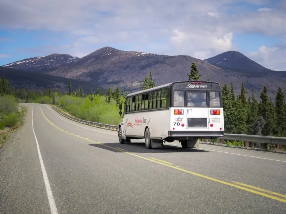 Skagway City & White Pass Summit Tour - 3