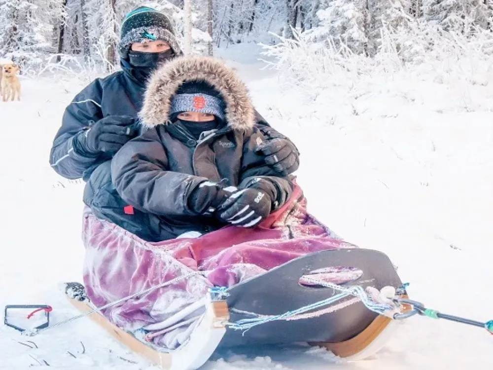 Aurora Dinner With Dog Sled Tour - 1