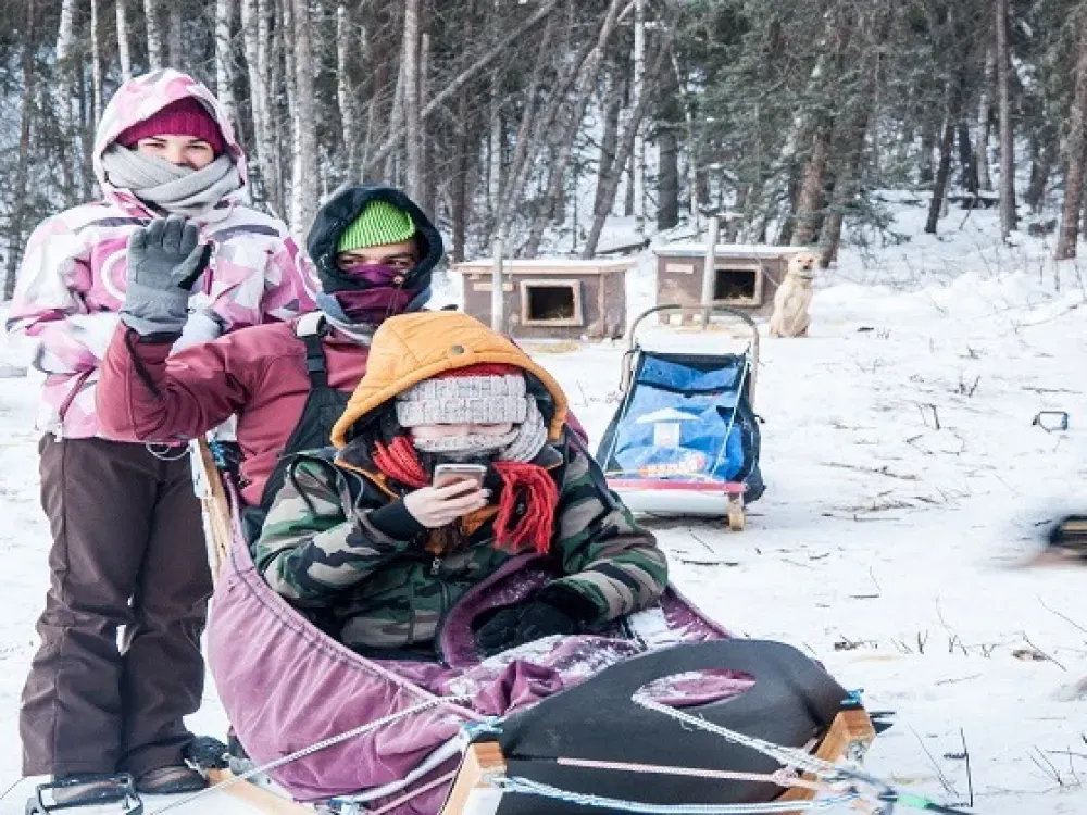 Aurora Dinner With Dog Sled Tour - 4