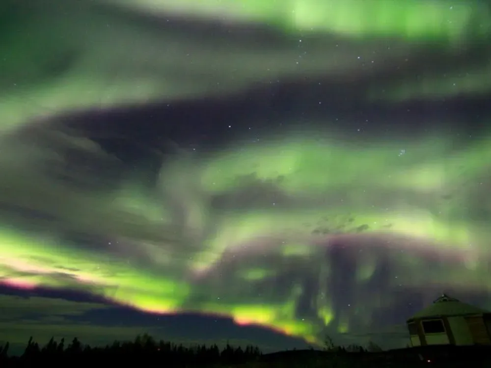 Aurora Dinner With Dog Sled Tour - 5